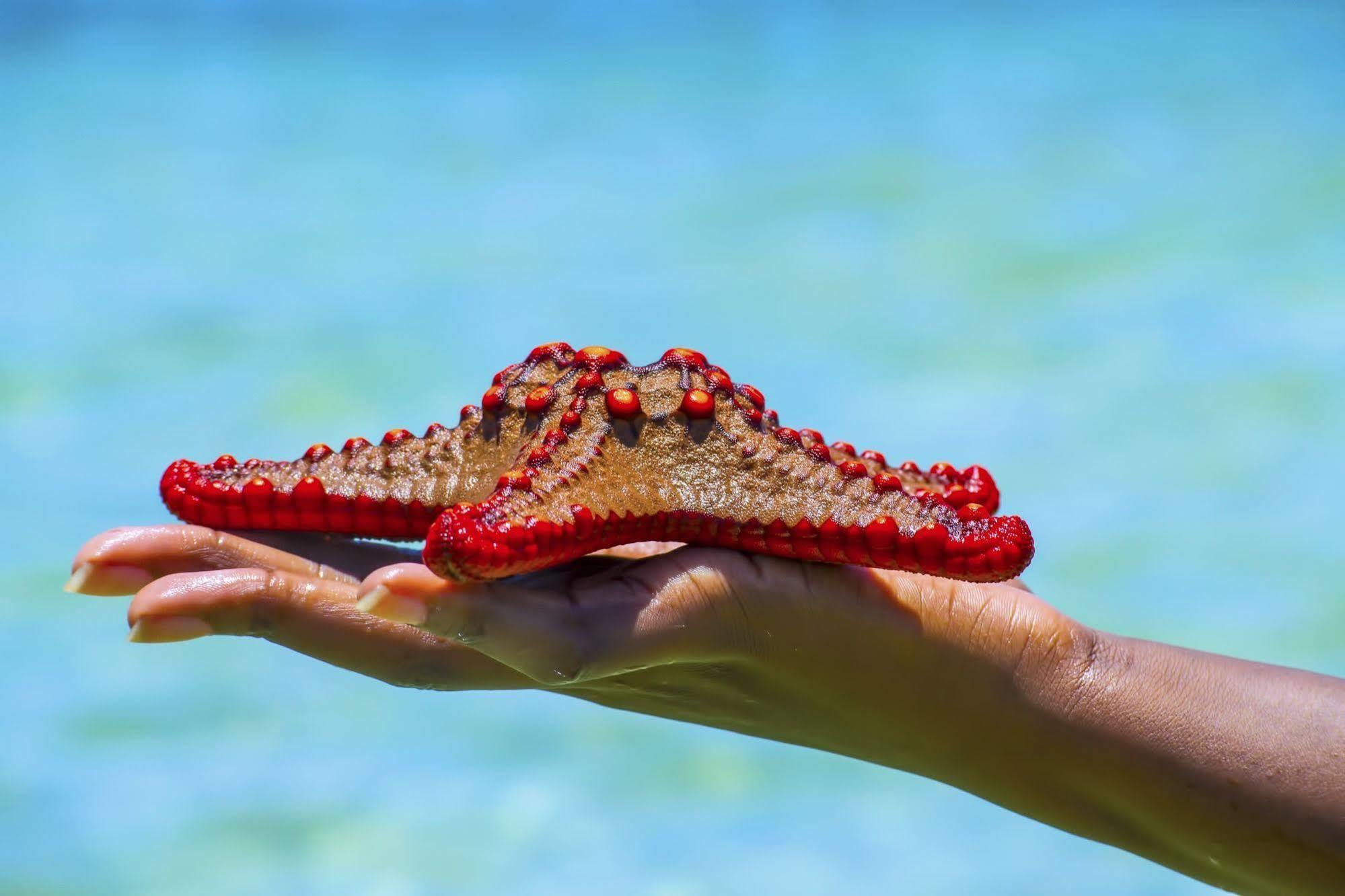 Mombasa Beach Hotel エクステリア 写真